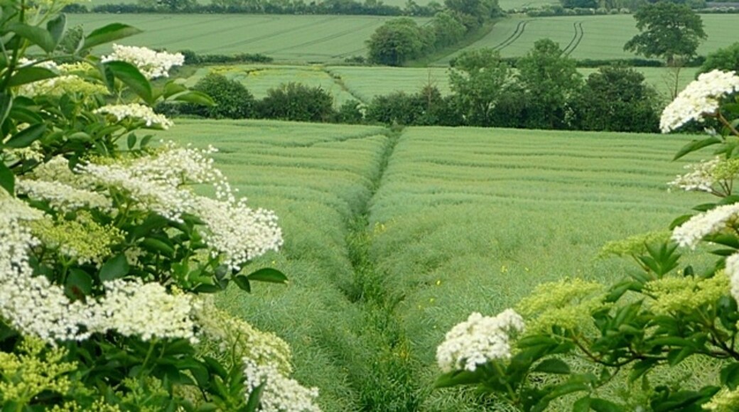 "King's Sutton"-foto av Graham Horn (CC BY-SA) / Urklipp från original