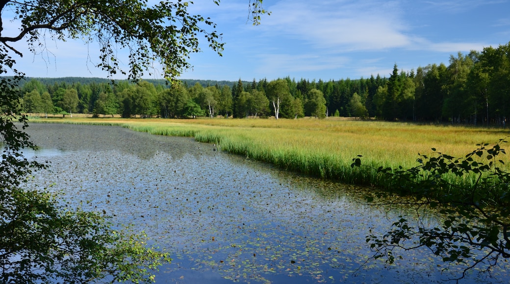 Photo "Vysluni" by Petr Kinšt (page does not exist) (CC BY-SA) / Cropped from original