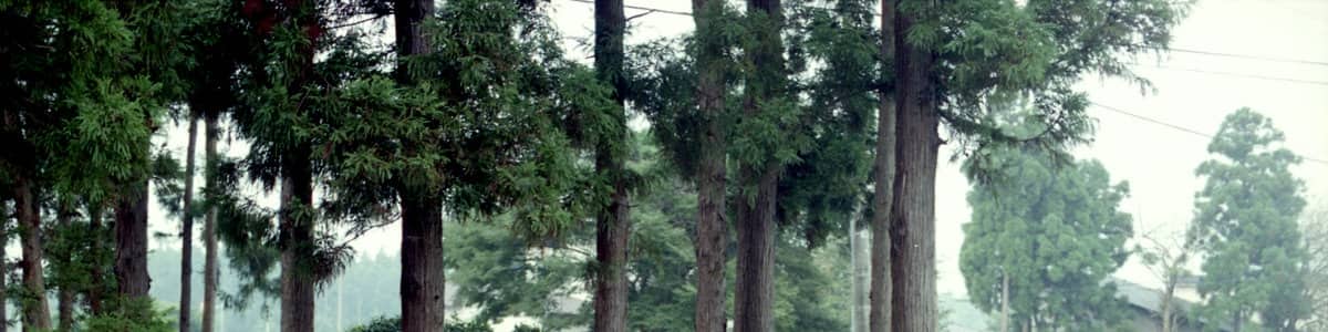 Photo "江釣子古墳群/北上市" by shikabane taro (Creative Commons Attribution 3.0) / Cropped from original