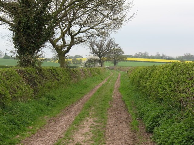 Track at Thornton le Moor Track and footpath on the south side of the village.