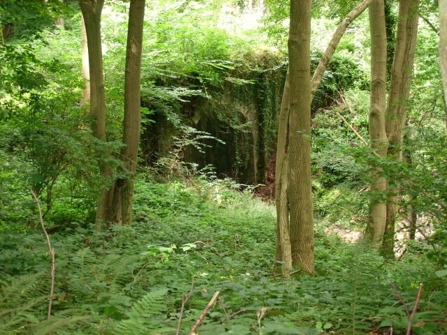 "Hanley"-foto av Maggie Embleton (CC BY-SA) / Urklipp från original