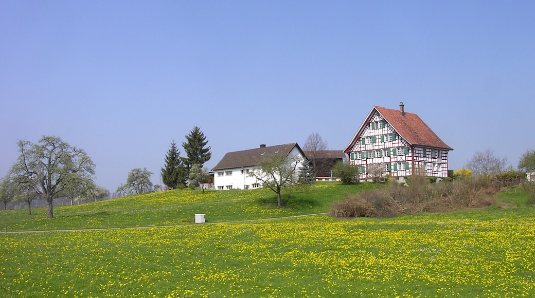 Photo "Morschwil" by Rene Nueesch (CC BY) / Cropped from original