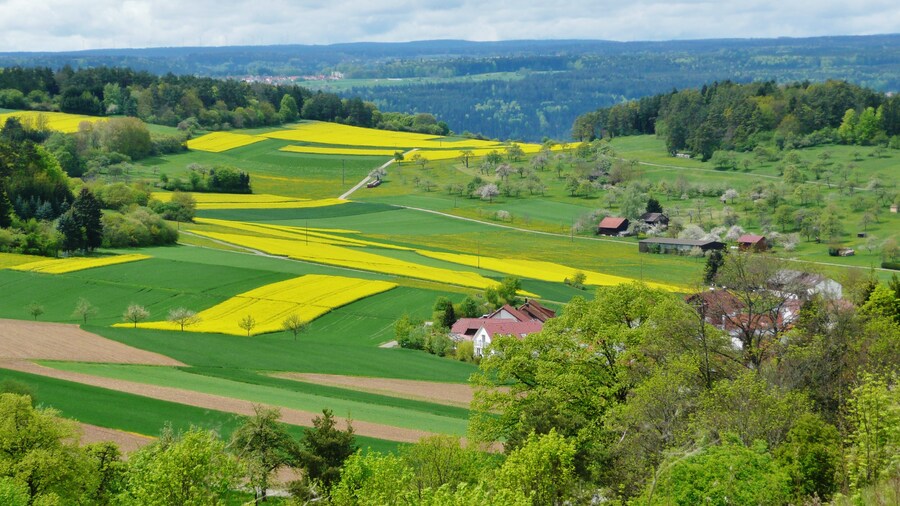 Photo "Blick Richtung Nordschwarzwald" by qwesy qwesy (Creative Commons Attribution 3.0) / Cropped from original