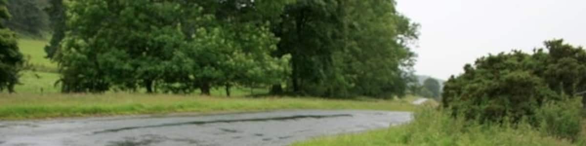 Photo "Roadside Verge, Hutton-le-Hole to Lastingham Road" by Mick Garratt (Creative Commons Attribution-Share Alike 2.0) / Cropped from original