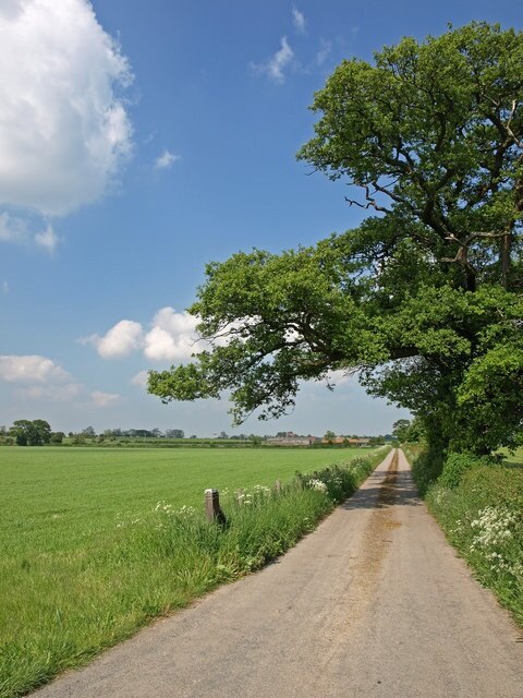 Foto “Ellerton-on-Swale” tomada por wfmillar (CC BY-SA); recorte de la original