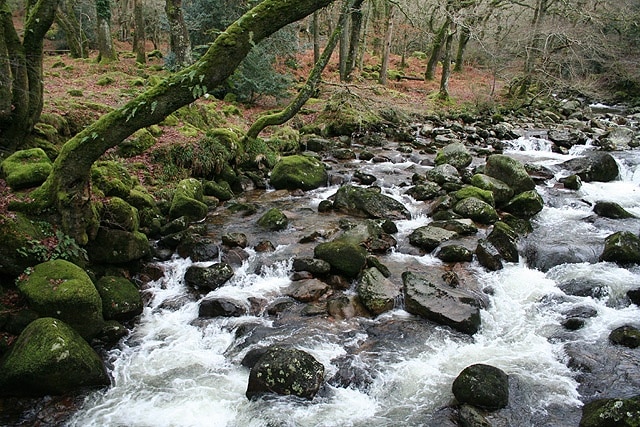 Meavy: river Plym The river Plym just above its confluence with the river Meavy. The land between the two rivers belongs to the National Trust and is known as Goodameavy, but to some as Dewerstone Wood