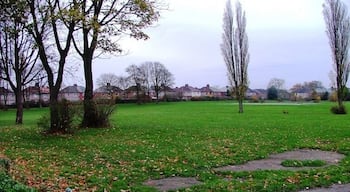 Recreation Ground, Norton