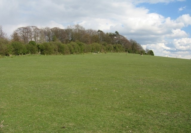 Woodland atop White Hill