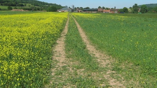 Photo "Shoreham" by David Anstiss (CC BY-SA) / Cropped from original