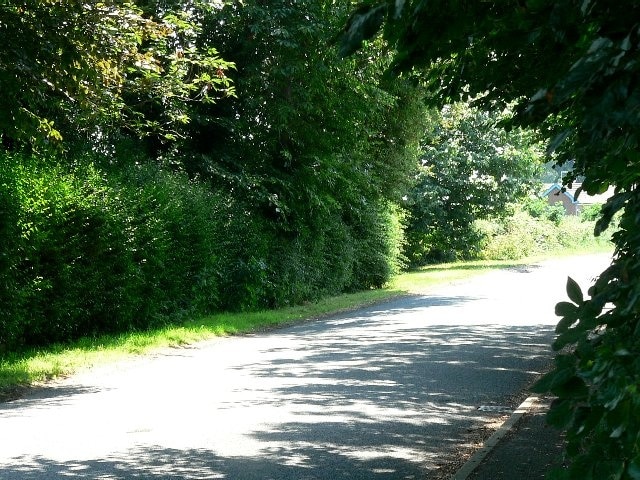 Foto “Cliffe” tomada por Roger Gilbertson (CC BY-SA); recorte de la original