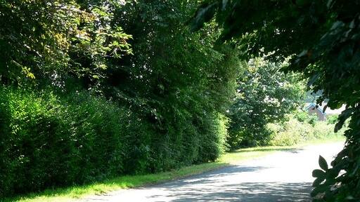 Foto “Cliffe” tomada por Roger Gilbertson (CC BY-SA); recorte de la original