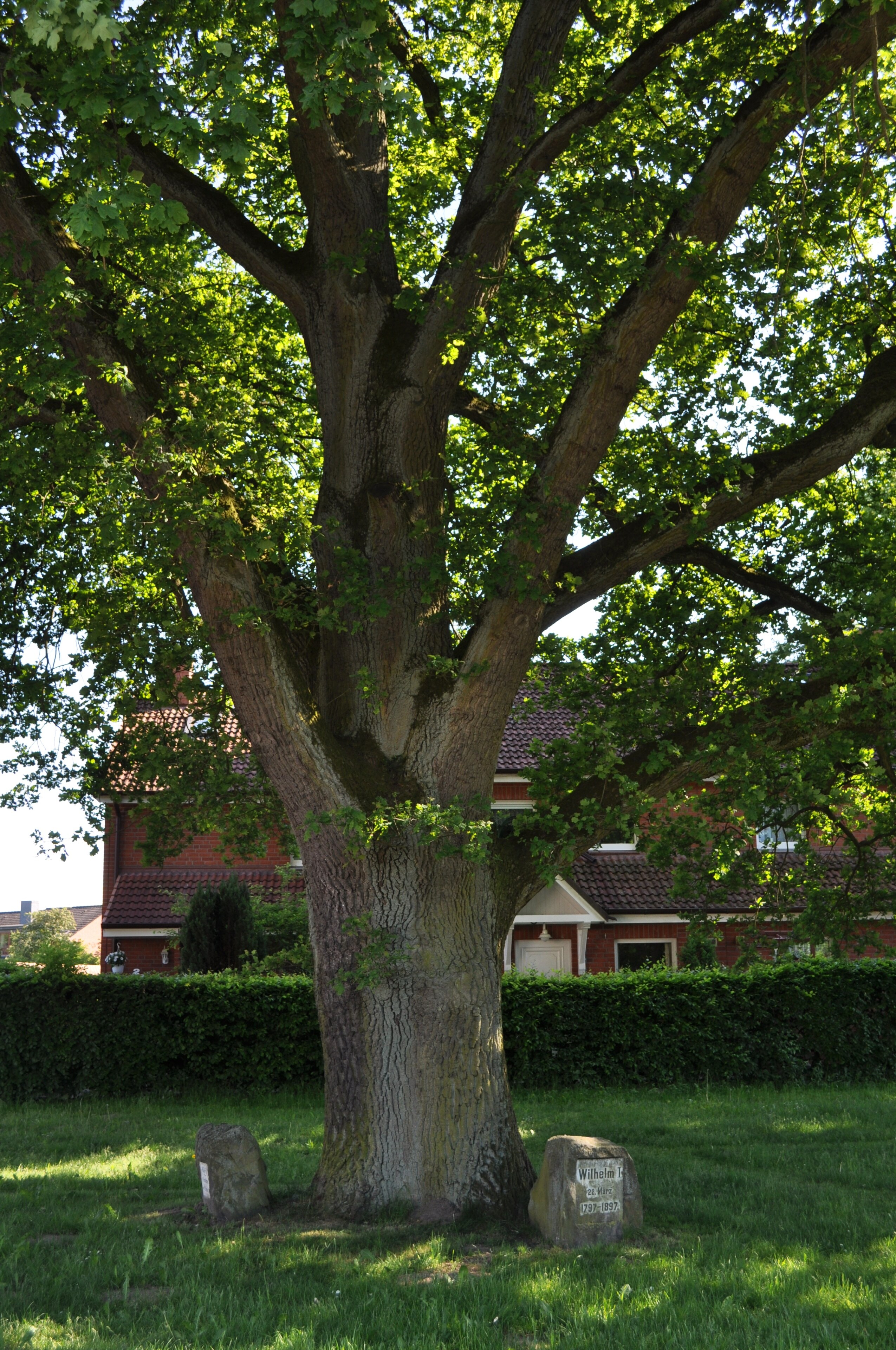 « Ammersbek», photo de Ajepbah (CC BY-SA) / rognée de l’originale