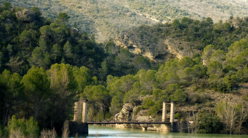 Foto „Noguera Pallaresa River“ von Isidre blanc (CC BY-SA)/zugeschnittenes Original