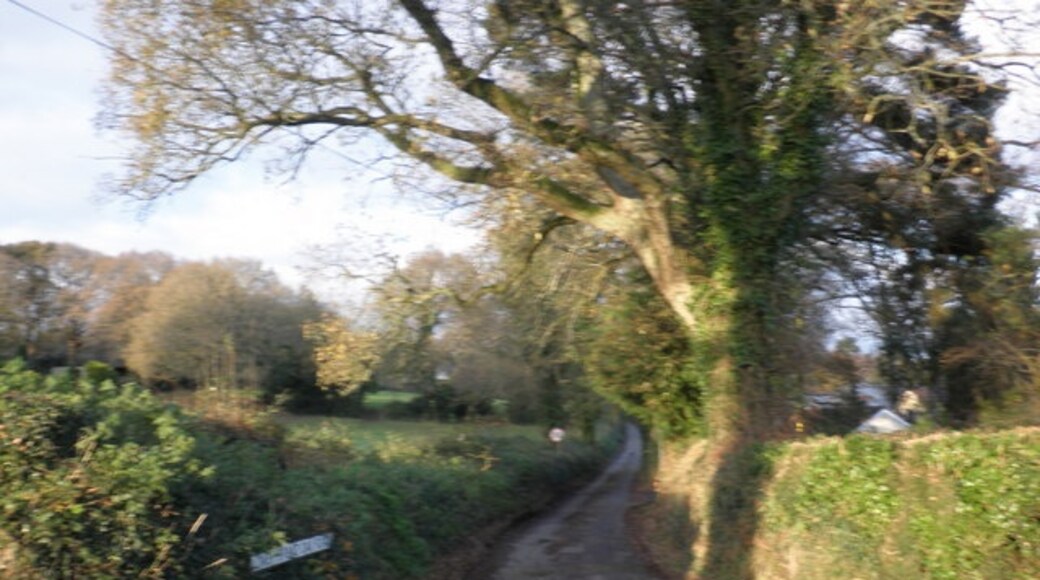 Foto “West Hill” tomada por Roger Cornfoot (CC BY-SA); recorte de la original