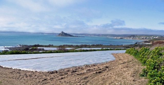 Vegetable production land by Mounts Bay, near to Perranuthnoe, Cornwall, Great Britain. View west of Perranuthnoe towards St. Michael's Mount. Note the clouds associated with sea mist on the north coast hangs on the horizon.