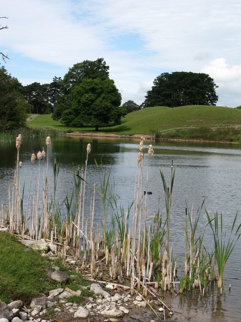 Ảnh "Thornton Steward" của Gordon Hatton (CC BY-SA) / Cắt từ ảnh gốc