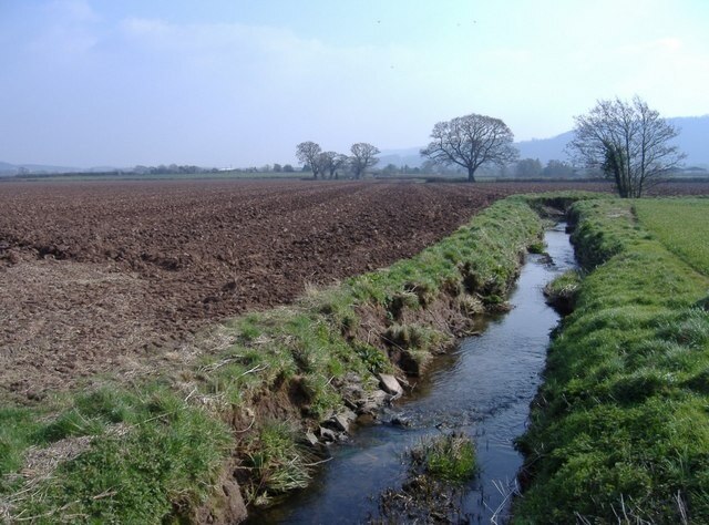 Brook, at Lady Arbour Farm