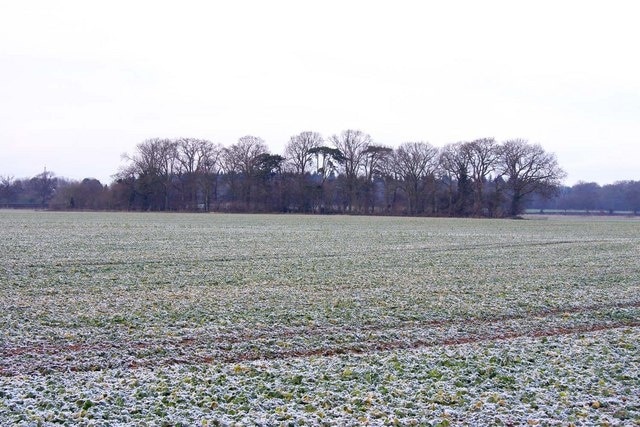 Arable field at Clifton Hampden