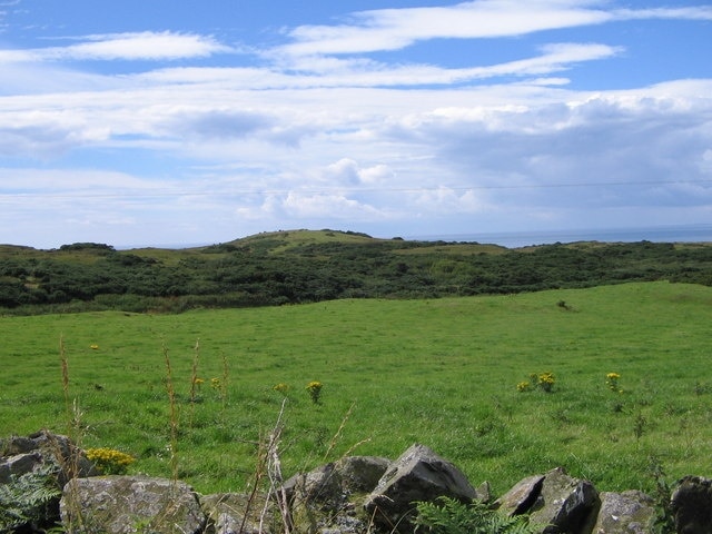 View over field to Craigoch Park Moor