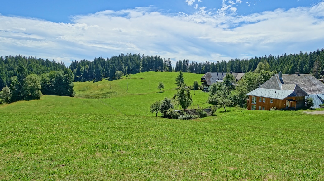 Foto „Dachsberg“ von PantaRhei (CC BY-SA)/zugeschnittenes Original