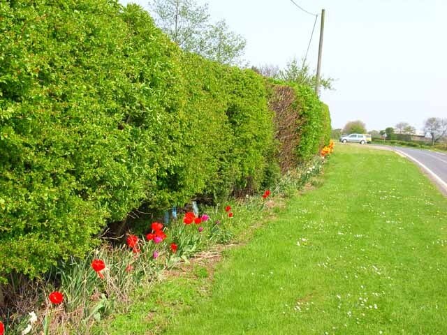 Foto „East and West Newbiggin“ von Oliver Dixon (CC BY-SA)/zugeschnittenes Original