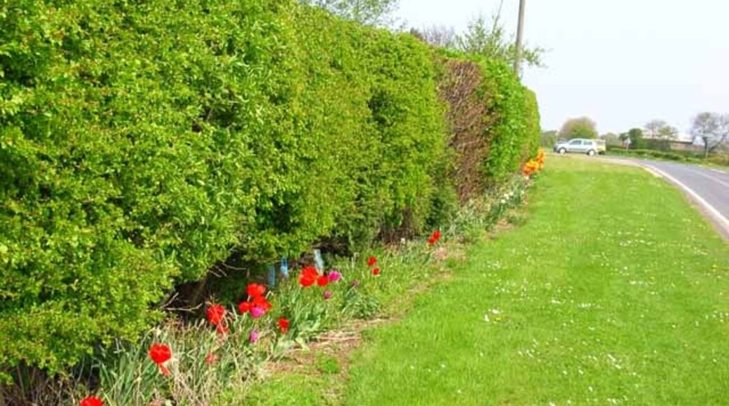 Foto „East and West Newbiggin“ von Oliver Dixon (CC BY-SA)/zugeschnittenes Original