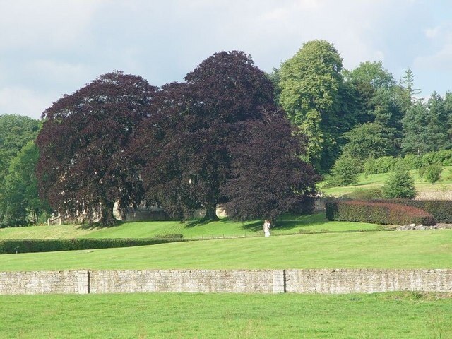 "Whitwell-on-the-Hill"-foto av Peter Church (CC BY-SA) / Urklipp från original