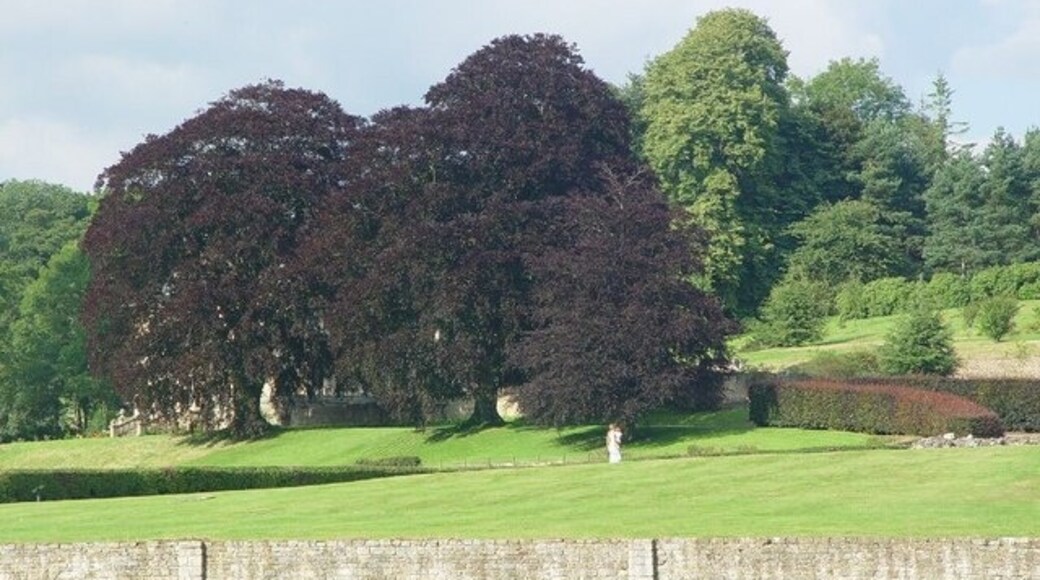 "Whitwell-on-the-Hill"-foto av Peter Church (CC BY-SA) / Urklipp från original