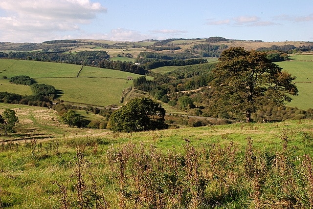 Viewpoint near Pilsley Rough grazing predominates in this area, but on the other side of the valley, which is still in the square, more cultivated grassland is the norm.