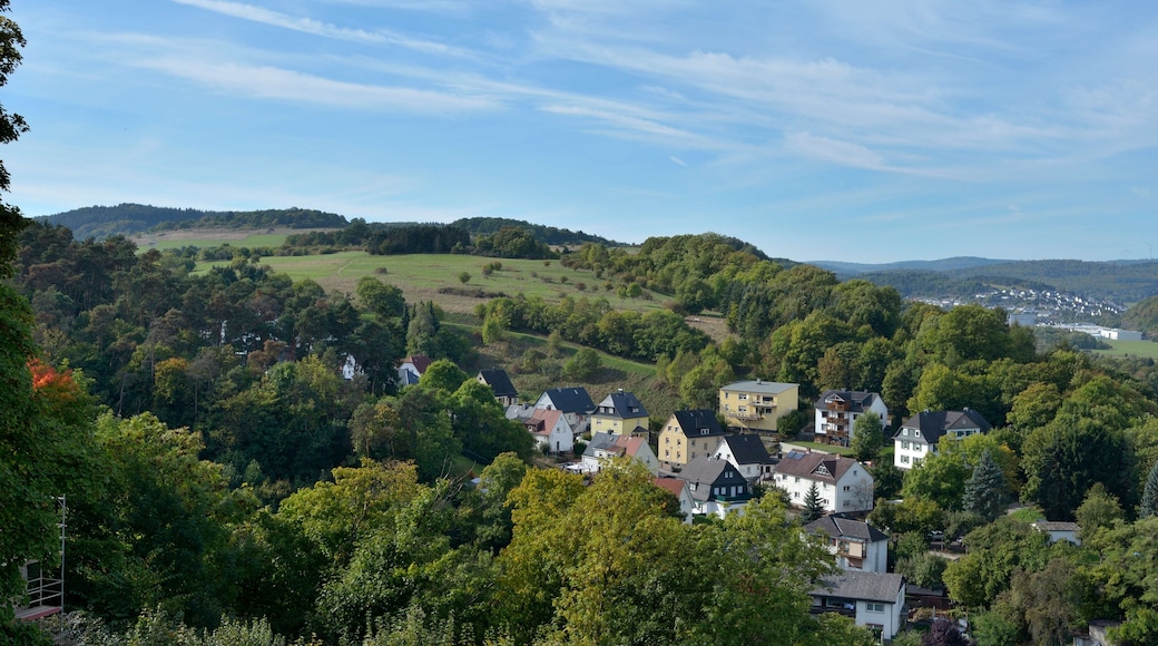 Bildet «Dillenburg» tatt av ngocchat1014 (CC BY) / originalbilde beskjært