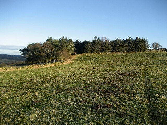 Foto “Darley y Menwith” tomada por Chris Heaton (CC BY-SA); recorte de la original