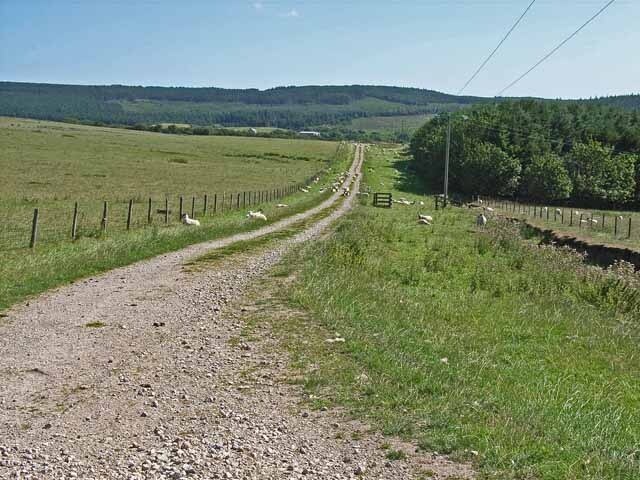 Photo "Harwood Dale" by Oliver Dixon (CC BY-SA) / Cropped from original