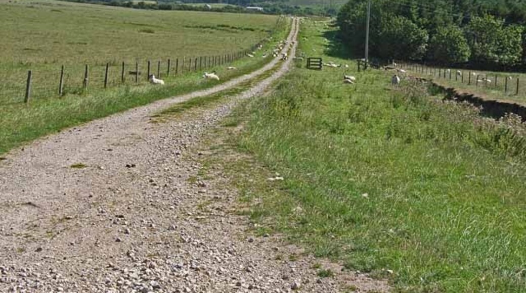 Photo "Harwood Dale" by Oliver Dixon (CC BY-SA) / Cropped from original