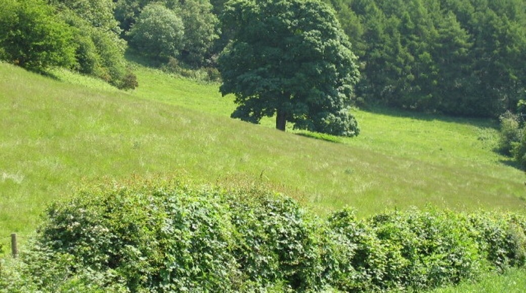 Foto “Castillo de Richard” tomada por Raymond Perry (CC BY-SA); recorte de la original