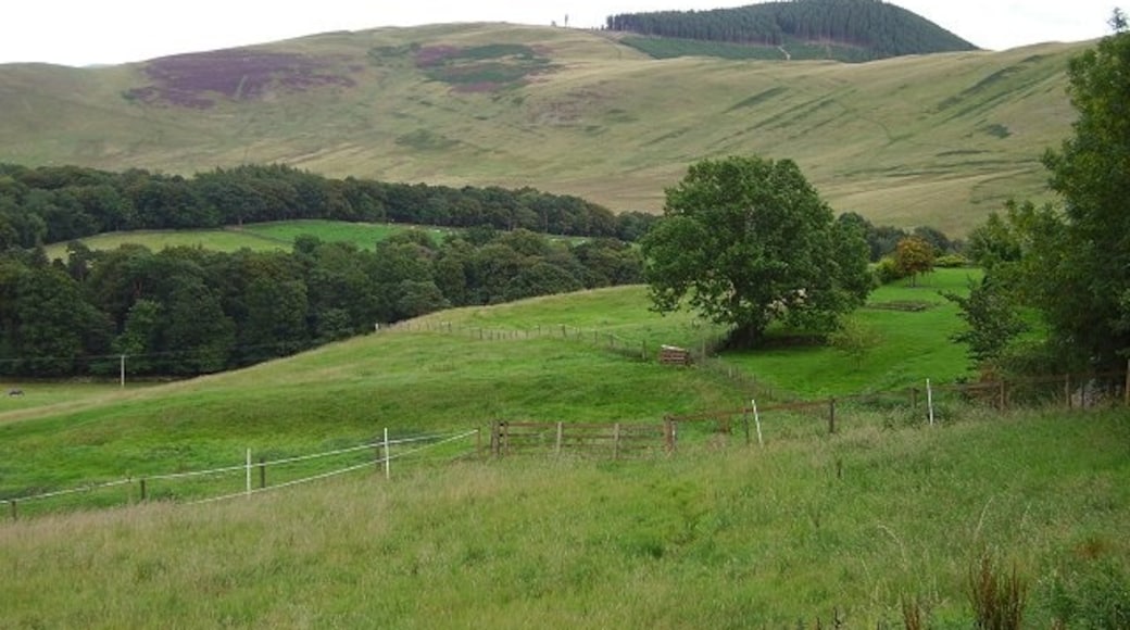 Foto "Kirkton Manor" de Richard Webb (CC BY-SA) / Recortada de la original