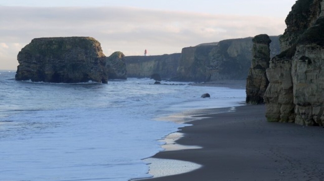 Photo "Marsden Beach" by Andrew Curtis (CC BY-SA) / Cropped from original