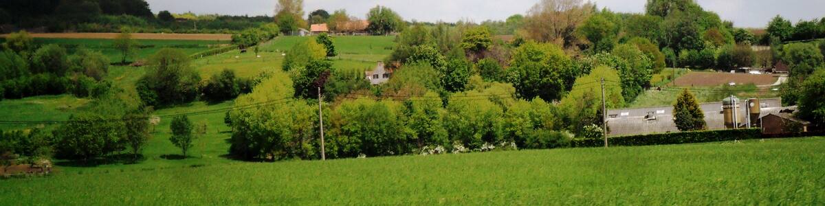 Photo "Near Dranouter" by grassrootsgroundswell (Creative Commons Attribution 2.0) / Cropped from original
