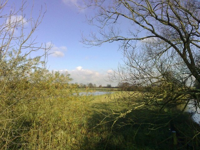 Billede "Wicken" af mick finn (CC BY-SA) / beskåret fra det originale billede