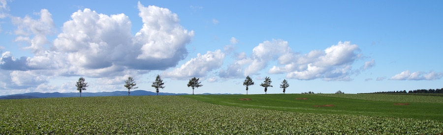 Märchen-no-oka ("Marchen Hill") in Ozora Town, Hokkaido, Japan