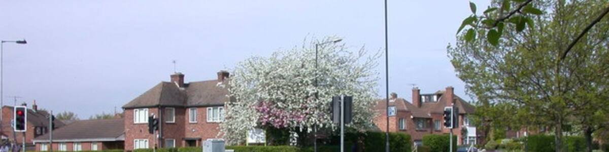 Photo "A touch of spring Wallflowers and forget-me-nots in this bed on Campkin Road, with blossom on the trees in Mansel Way in the background." by Keith Edkins (Creative Commons Attribution-Share Alike 2.0) / Cropped from original