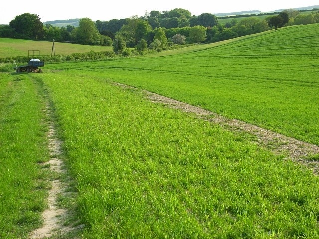 Farmland, Nether Wallop A small valley at the southeastern extremity of the grid-square. The valley of Wallop Brook is in the trees.