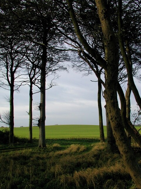 Photo "Humbleton" by Paul Glazzard (CC BY-SA) / Cropped from original