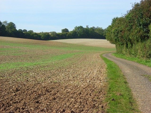 Bridleway below Membury In the dry valley that climbs gradually towards Baydon. The presence of chalk gives the cultivated hillside its white appearance.