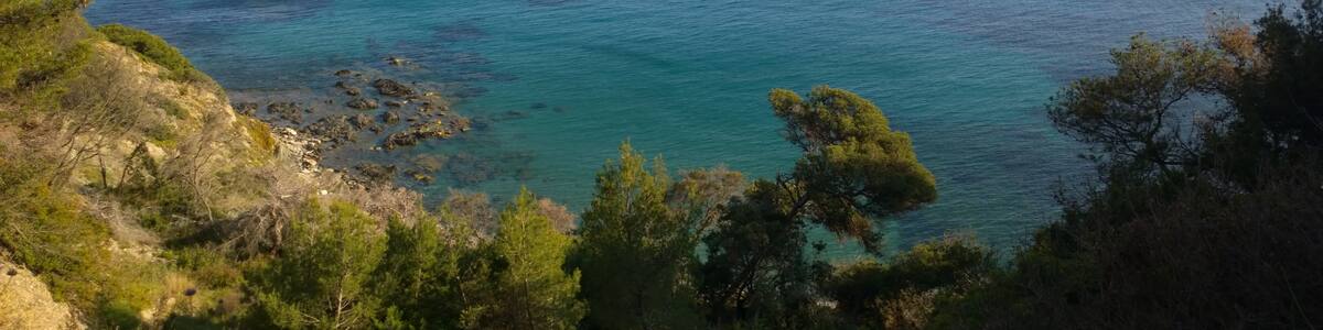 Photo "83230 Bormes-les-Mimosas, France" by 4net (Creative Commons Attribution 3.0) / Cropped from original