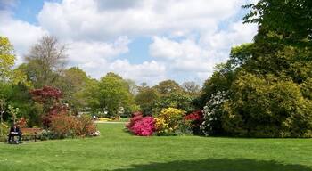 Crawley Memorial Gardens An oasis in the centre of town
