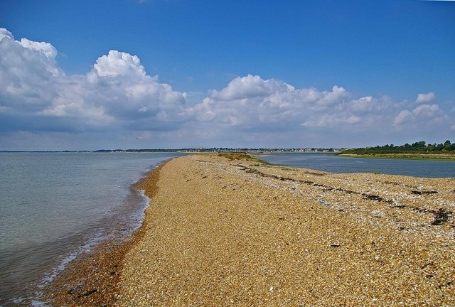 View to Sandy Point. This is part of the shingle spit on the Colne Point Nature Reserve owned by Essex Wildlife Trust http://www.essexwt.org.uk/visitor_centres__nature_reserves/colne_point_nature_reserve/ .The reserve is only accessible to the general public by day permit obtainable from the Trust headquarters. The shingle spit is the best example in Essex. This view is the eastern (and smaller) of two parallel spits that end at Sandy Point.