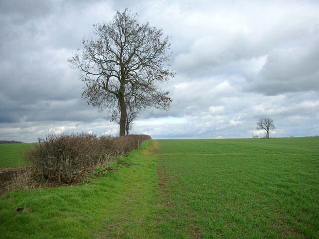 Foto “Brington and Molesworth” tomada por Will Lovell (CC BY-SA); recorte de la original