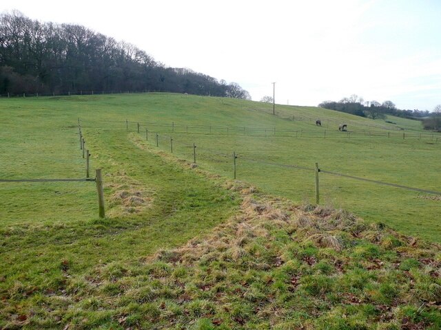 Foto “Salwarpe” tomada por Jonathan Billinger (CC BY-SA); recorte de la original