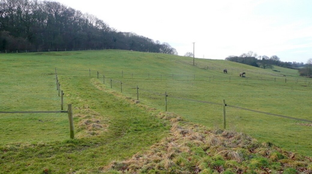 Foto “Salwarpe” tomada por Jonathan Billinger (CC BY-SA); recorte de la original