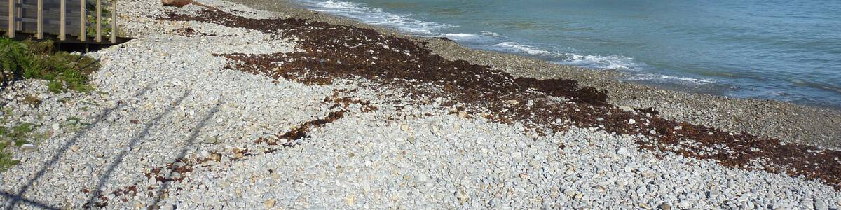 Photo "Beach at Cadavedo, Asturias, Spain" by Adbar (Creative Commons Attribution-Share Alike 3.0) / Cropped from original